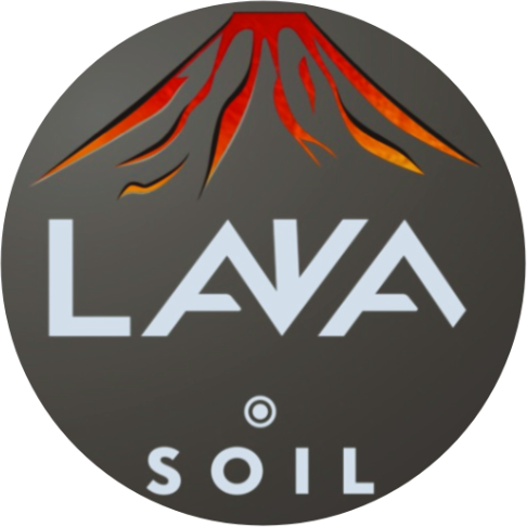 LAVA FOR LIFE LOGO